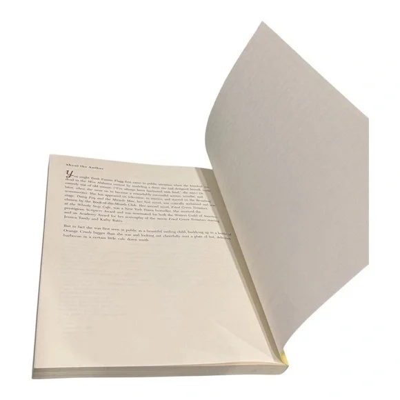 Fannie Flaggs Whistle Stop Cafe Cookbook Fried Green Tomatoes Recipes Softcover - Picture 9 of 9